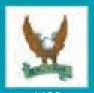 Automotive Stock Temporary Tattoo - Born To Ride Eagle (1.5"X1.5")