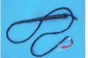 Bull Whip