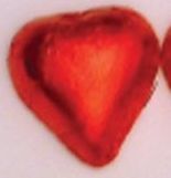 Chocolate Heart Candy