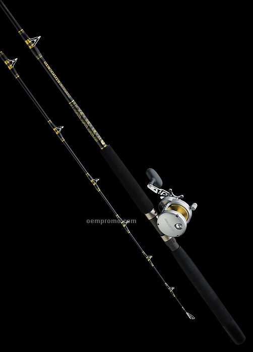 Daiwa Saltwater System Rod & Reel Combination