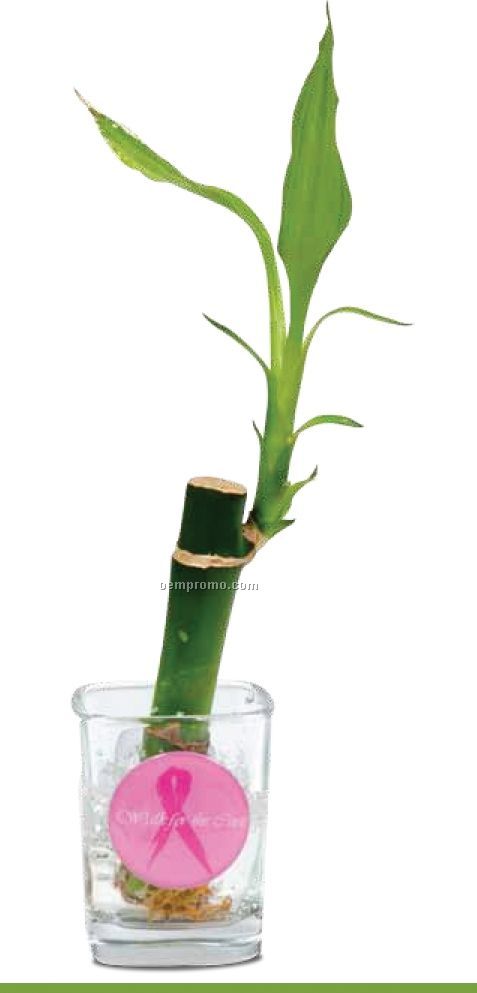 Bamboo Shooter