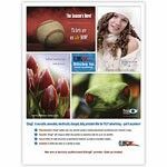 Large Cling Z Static Cling Posters