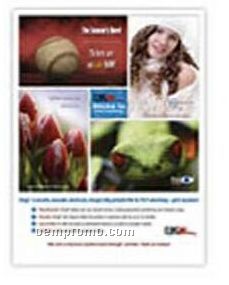 Medium Cling Z Static Cling Posters