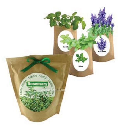 Plant In A Bag