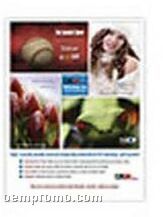 Small Cling Z Static Cling Posters