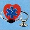 Online Video Training (Advanced First Responder)