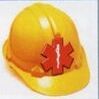 Phone Application/ On-line Video Package (Industrial First Aid)