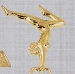 Award Pin - Female Gym