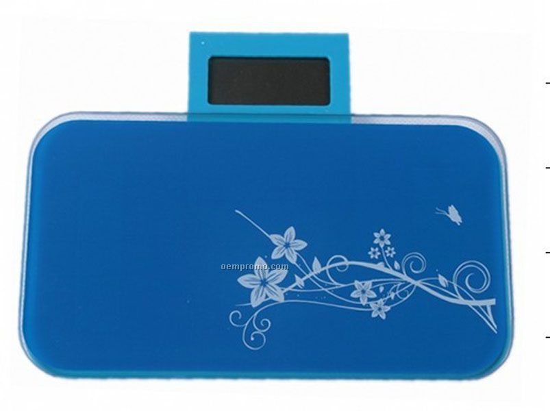 Body Mini Scale