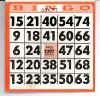 Stock "Bingo" Or Custom Bingo Game Cards
