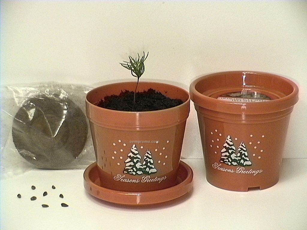 Colorado Blue Spruce Standard Logo Planter Kit (No Imprint)