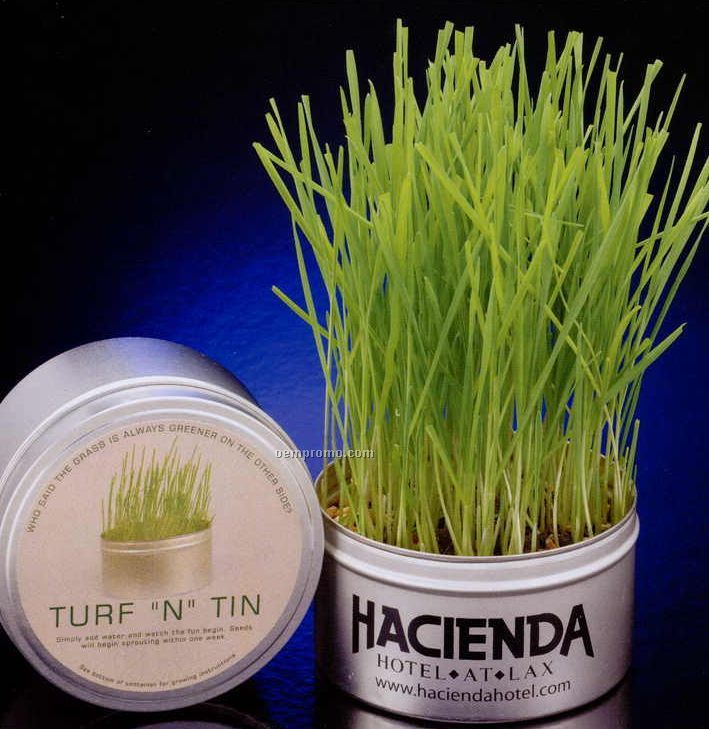 Turf "N" Tin 16 Oz. Wheat Grass Growing Tin