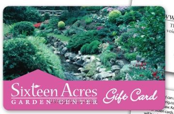 Custom Plastic Gift Card (4 Color Front & Back)