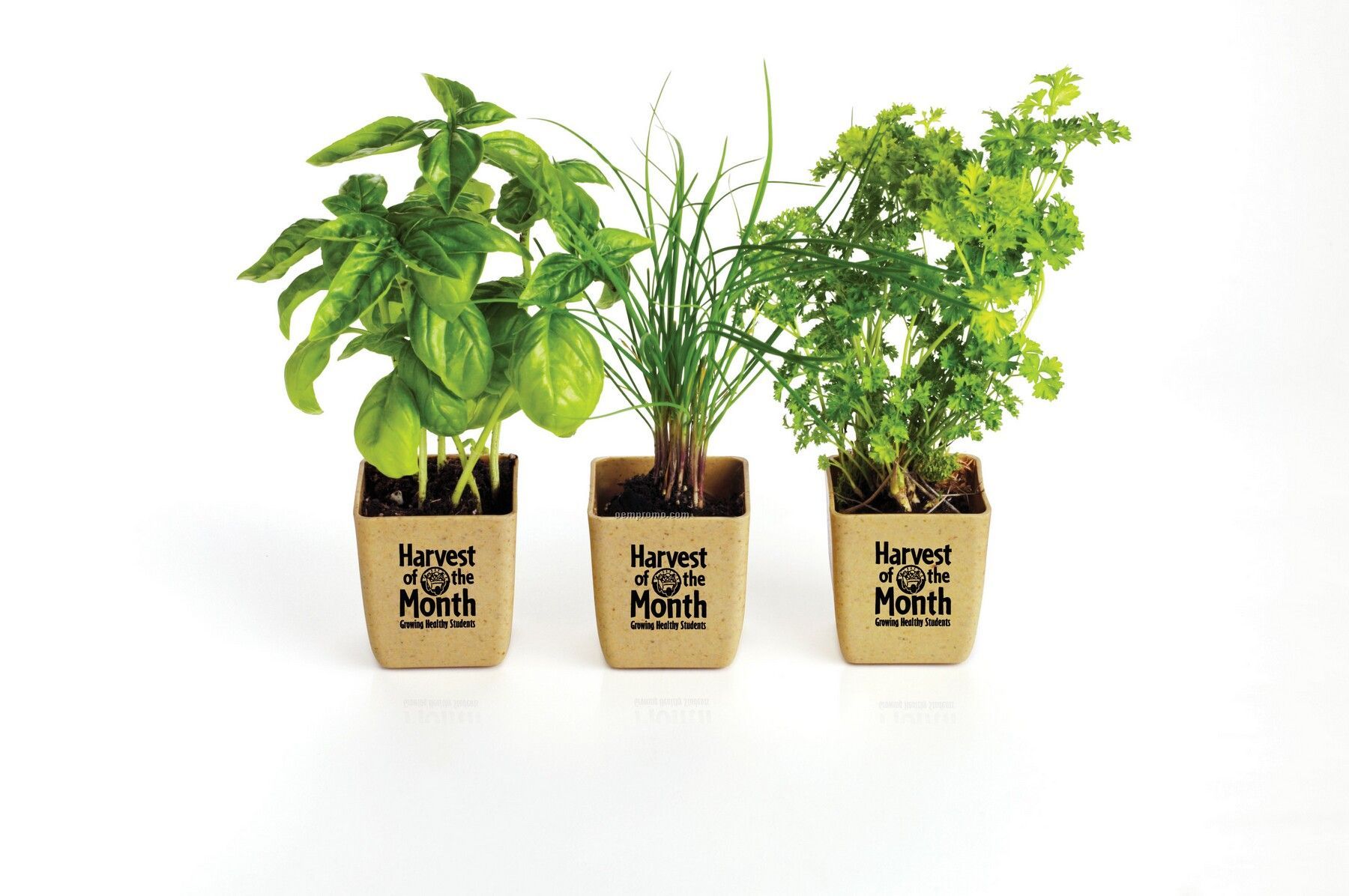 Herb Garden Set