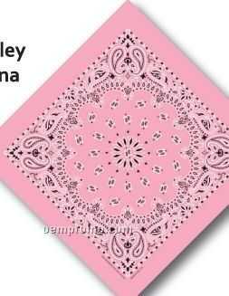 Paisley Bandanna