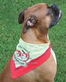 Pet Triangle Bandana