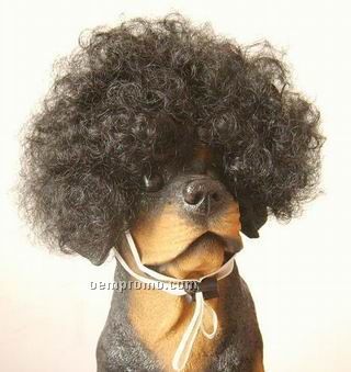 Pet Hair Pieces