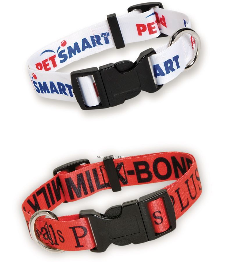 Dog Collar