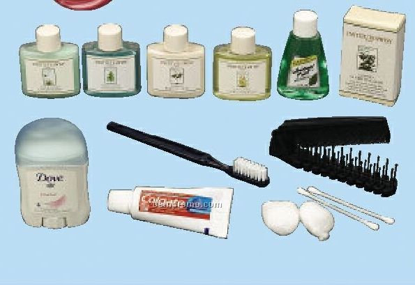 Institute Swiss Women's Amenity Group